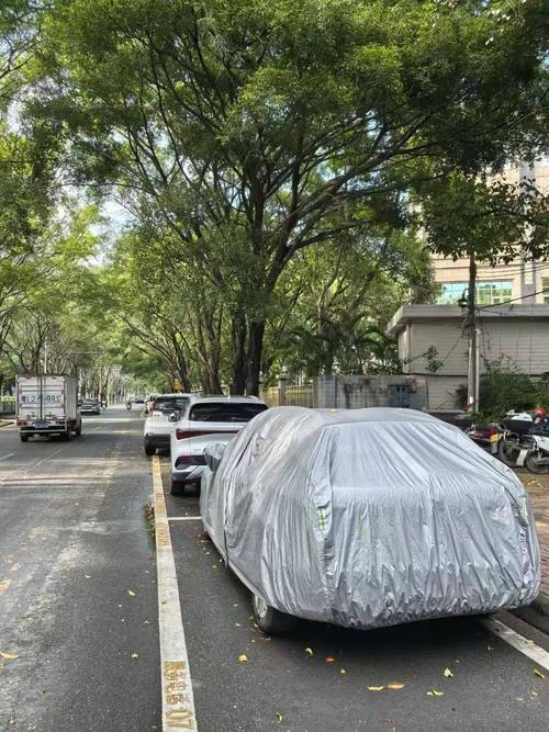 在前期巡查中,我们发现部分车辆在公共停车位上长期停放未移动,不仅